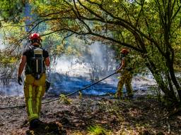 Een natuurbrand in Heeze (foto: Dave Hendriks/SQ Vision).