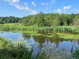 https://api.omroepbrabant.nl/img/f/$width$/$height$/0.5/0.5/bWVkaWEvcHJvZC80Mjk4OTYxLmpwZz9zdj0yMDE5LTA3LTA3JnN0PTIwMjAtMDEtMDFUMDAlM0EwMCUzQTAwWiZzZT0yMDQwLTAxLTAxVDAwJTNBMDAlM0EwMFomc3I9YiZzcD1yJnNpZz1qVFpOVUcyZG45N2tBUDY3eWNyM1AwJTJGS0xkUWE0dEF1ZzJMUmdubGVPVnclM0Q=