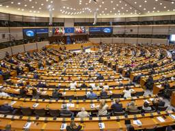 Het Europees parlement in Brussel (Foto: ANP).