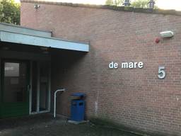 Voordeur De Mare (foto: Willem-Jan Joachems)