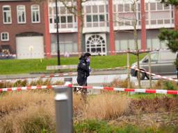 Archieffoto: Harrie Grijseels / SQ Vision