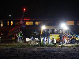Paard dood en automobilist zwaargewond na botsing met trein