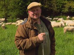 John met zijn schapen na het goede nieuws.