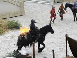 De Raveleijn show in de Efteling (foto: ANP).