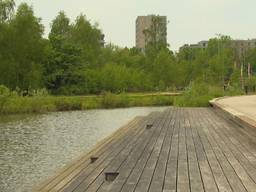 Meer water in de bebouwde omgeving, zoals hier in Tilburg (beeld: Omroep Brabant).