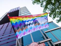 De Eindhovense Pride Vlag (foto: Faron van Leeuwen/Queer 040).