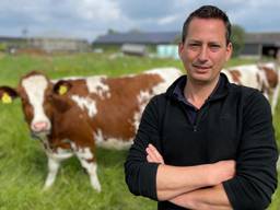 Paul Schots bij zijn koeien in Breugel (Foto: Alice van der Plas)
