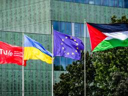 Demonstranten vervangen Brabantse vlag voor Palestijnse vlag op de TU/e