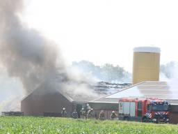 Brand in varkensstal