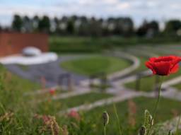 Herdenking 10 jaar na MH17-ramp