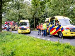 https://api.omroepbrabant.nl/img/f/$width$/$height$/0.5/0.5/bWVkaWEvcHJvZC80NTEwNDcyLmpwZz9zdj0yMDE5LTA3LTA3JnN0PTIwMjAtMDEtMDFUMDAlM0EwMCUzQTAwWiZzZT0yMDQwLTAxLTAxVDAwJTNBMDAlM0EwMFomc3I9YiZzcD1yJnNpZz1rRWNEUWxnS3Ixa1VwOHVIY29wNlVwVmFtQlpKcGFEeFl2cE5qNWRNUCUyRmclM0Q=