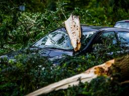 Zware windstoten en onweer: bomen op auto's en wegen