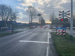 https://api.omroepbrabant.nl/img/f/$width$/$height$/0.5/0.5/bWVkaWEvcHJvZC80NTk4OTIzLmpwZz9zdj0yMDE5LTA3LTA3JnN0PTIwMjAtMDEtMDFUMDAlM0EwMCUzQTAwWiZzZT0yMDQwLTAxLTAxVDAwJTNBMDAlM0EwMFomc3I9YiZzcD1yJnNpZz1zQTQ0MWJlVXElMkJmRkFEUTJvMVpHYXZseVAzZHkzTmp4R2VjRDZyZFhLS2clM0Q=