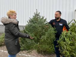 Kerstbomen bij de voedselbank