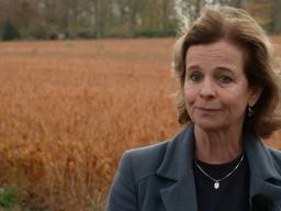 Janique Huijbregts voor het lelieveld vlakbij haar huis in Sint-Michielsgestel
