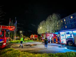 https://api.omroepbrabant.nl/img/f/$width$/$height$/0.5/0.5/bWVkaWEvcHJvZC80NjIwODY3LmpwZz9zdj0yMDE5LTA3LTA3JnN0PTIwMjAtMDEtMDFUMDAlM0EwMCUzQTAwWiZzZT0yMDQwLTAxLTAxVDAwJTNBMDAlM0EwMFomc3I9YiZzcD1yJnNpZz1qTlhSWXd0YlFzTlNlbEo1bkRJQmQzQ2NSR3AxWlQ5MEZaOU5MeXN0VW5BJTNE