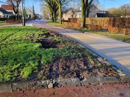 https://api.omroepbrabant.nl/img/f/$width$/$height$/0.5/0.5/bWVkaWEvcHJvZC80NjMyNDg4LmpwZz9zdj0yMDE5LTA3LTA3JnN0PTIwMjAtMDEtMDFUMDAlM0EwMCUzQTAwWiZzZT0yMDQwLTAxLTAxVDAwJTNBMDAlM0EwMFomc3I9YiZzcD1yJnNpZz1jME5ucDBkeHhtUSUyQjZ4ajJzWnU4Q1g1bWlXU09ZdFo4c3hWVUp2clhFQnclM0Q=