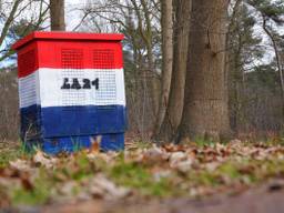 Een van de kastjes in loon op Zand (foto: Bart Meesters).