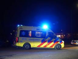 https://api.omroepbrabant.nl/img/f/$width$/$height$/0.5/0.5/bWVkaWEvcHJvZC80NjUzNjc4LmpwZz9zdj0yMDE5LTA3LTA3JnN0PTIwMjAtMDEtMDFUMDAlM0EwMCUzQTAwWiZzZT0yMDQwLTAxLTAxVDAwJTNBMDAlM0EwMFomc3I9YiZzcD1yJnNpZz1LTDV5RkpSJTJCc0dhMHF5R1dYT2NEMVZ0T3k4b1lzM3ljS1hBZXdYTnRvZmclM0Q=