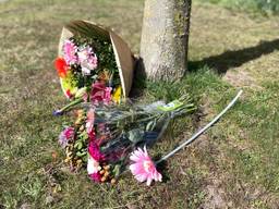 https://api.omroepbrabant.nl/img/f/$width$/$height$/0.5/0.5/bWVkaWEvcHJvZC80NjY2NzkzLmpwZz9zdj0yMDE5LTA3LTA3JnN0PTIwMjAtMDEtMDFUMDAlM0EwMCUzQTAwWiZzZT0yMDQwLTAxLTAxVDAwJTNBMDAlM0EwMFomc3I9YiZzcD1yJnNpZz1uJTJGJTJCRzNTZHN1SGM0NW8lMkJjV1VnRmFWJTJGV0p3MEFIQVR2YmNPQlZPYkMzZVUlM0Q=
