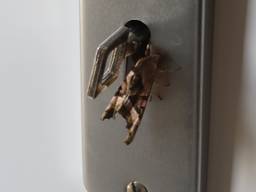 Welke nachtvlinder zit naast de sleutel? (foto: Jovanka van Delft)