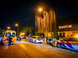 https://api.omroepbrabant.nl/img/f/$width$/$height$/0.5/0.5/bWVkaWEvcHJvZC80NjYxMjU3LmpwZz9zdj0yMDE5LTA3LTA3JnN0PTIwMjAtMDEtMDFUMDAlM0EwMCUzQTAwWiZzZT0yMDQwLTAxLTAxVDAwJTNBMDAlM0EwMFomc3I9YiZzcD1yJnNpZz1wTE5DNkU0Ykw2TUF5NzclMkJXRHVlWnZZTEREUXJFZVQxQkVhalN6ZEV6SDglM0Q=