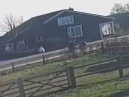 Vrouw met kinderwagen wordt aangereden door fietser die doorrijdt