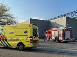 Foto: Bart Meesters/SQ Vision