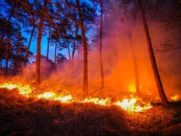 Foto: Persbureau Heitink