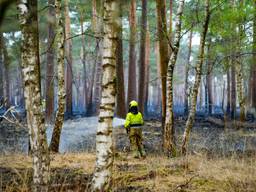 Foto: Erik Havershals/Persbureau Heitink.