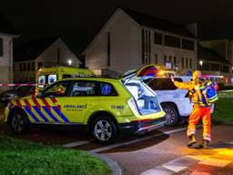 Frans overleed na de steekpartij (archieffoto: SQ Vision).