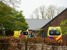 Foto: Erik Haverhals/Persbureau Heitink.