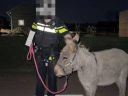 Foto: Instagram politie Den Bosch.