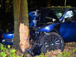Rond tien voor half vijf donderdagnacht is een auto in de bocht van de Laagstraat in Vught tegen een boom gebotst. De precieze toedracht is onbekend. De vrouw en de man die in de wagen zaten, raakten gewond. Het is niet bekend hoe ernstig gewond ze zijn.