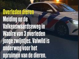 Foto: Instagram politie Valkenswaard.