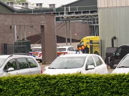 Zwaargewonde bij champignonkwekerij,