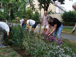 Onderhoud in het Hasselbraampark (foto: Els Schrik).
