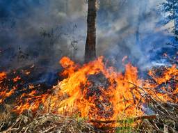 Natuurbrand in Waalre