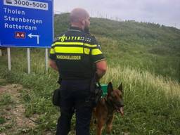 Foto: Instagram politiehonden Zeeland-West-Brabant.