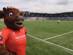 Boy Buffel heeft een nieuw pak nodig