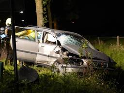 Een automobilist is in de nacht van woensdag op donderdag op hoge snelheid tegen een boom gebotst.