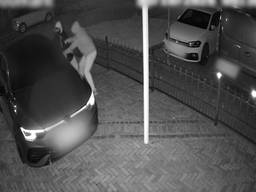 Overvallers stormen op auto af