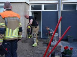 https://api.omroepbrabant.nl/img/f/$width$/$height$/0.5/0.5/bWVkaWEvcHJvZC80NzAwMTIwLmpwZz9zdj0yMDE5LTA3LTA3JnN0PTIwMjAtMDEtMDFUMDAlM0EwMCUzQTAwWiZzZT0yMDQwLTAxLTAxVDAwJTNBMDAlM0EwMFomc3I9YiZzcD1yJnNpZz1WRnMwamU1UGlmczZzSWYyUWMzaVo4d2tKbFZsOVNvJTJCZ1FrZ2dTOHZtSXMlM0Q=