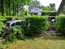 https://api.omroepbrabant.nl/img/f/$width$/$height$/0.5/0.5/bWVkaWEvcHJvZC80NzAxMTgwLmpwZz9zdj0yMDE5LTA3LTA3JnN0PTIwMjAtMDEtMDFUMDAlM0EwMCUzQTAwWiZzZT0yMDQwLTAxLTAxVDAwJTNBMDAlM0EwMFomc3I9YiZzcD1yJnNpZz1MS2haVHBIV3klMkZpTUs0Tks5eSUyQjJSaXdnRG9LNU9sRnhzVTc5bHVUbTNFMCUzRA==