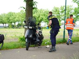 Foto: Jeroen Stuve/Persbureau Heitink.