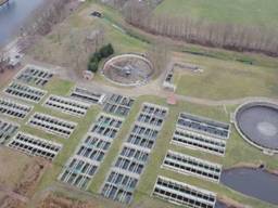 Dronebeeld van de Tilburgse waterzuivering (beeld: Waterproef/Mathijs Welmers)