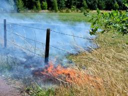 Jongeren steken berm in brand