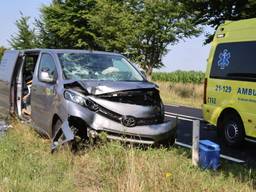 Automobilist schrikt zich lam van spin en ramt boom