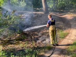 Foto: Harrie Grijseels / Persbureau Heitink