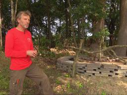 Ton heeft 80 eikenprocessierups-nesten: 'Dit lost plaag op'